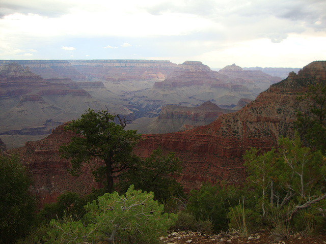 grand canyon 348