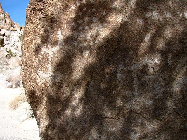 Petroglyphs (095217)
