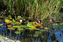 textures in the water