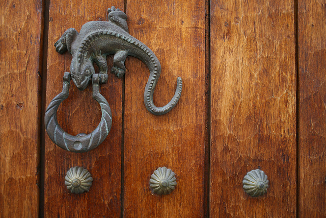 Iguana Door Knocker