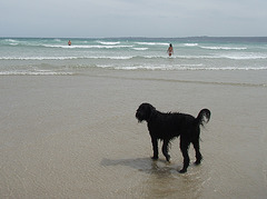 day at the beach with Nic/o