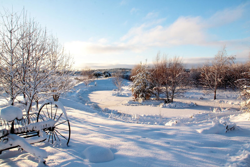 Sunny days are here again...but snow remains!
