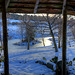 Pond view from the Gazebo