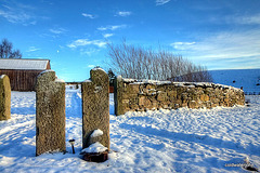 The Apprentice's Wall