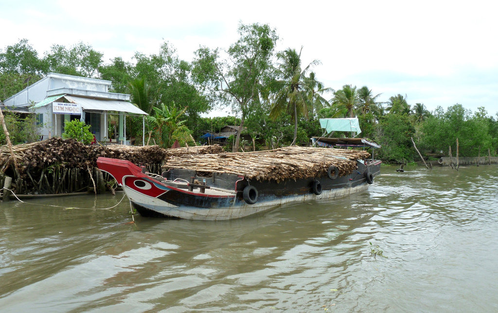 Boatload of Bamboo