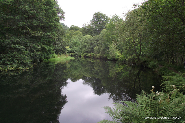 Hardcastle Crags Walk