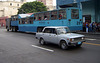 Havana Transport, El Camello