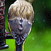 Siskin