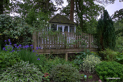 English Country garden II