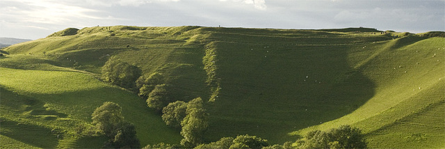 Eggardon panorama