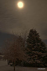 Night images series: Moonshadow