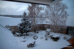 Dawn snow series -courtyard from guest wing
