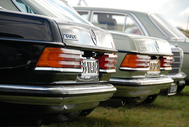 Autumn Mercedes meeting – W123 model