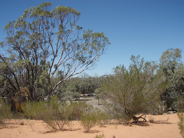 Hattah-Kulkyne National Park