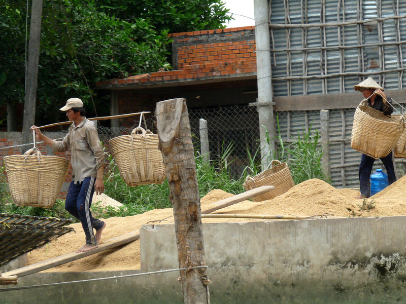 Working at the Sawmill