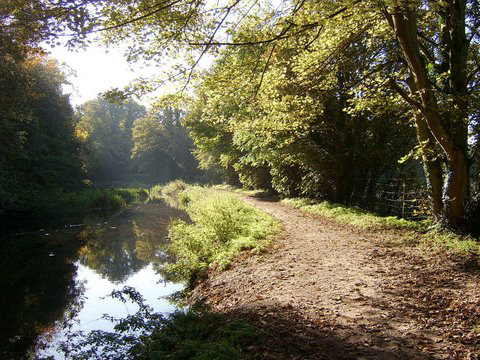 Canalside Walk