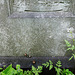 brompton cemetery, london,unreadable epitaph,  maybe early c20?, on a memorial to a member of the  confraternity of men and women of st.andrews, wells st.