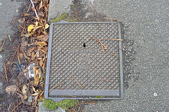 Drain cover for the city of Utrecht