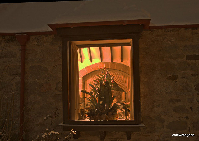 Moonlit meanders - Burglar's view of the Christmas tree