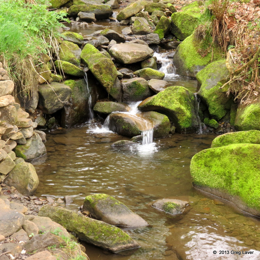 Rocky stream pool