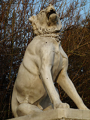 the hounds of victoria park, london