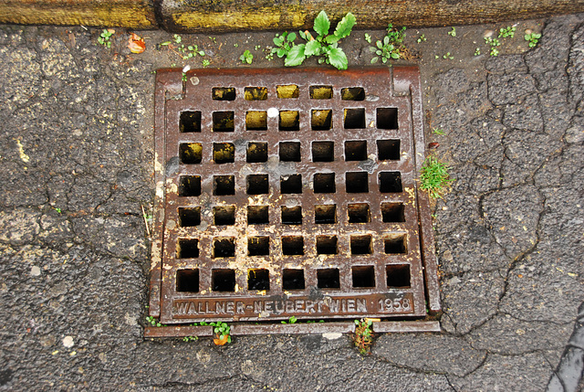1958 drain cover of Vienna