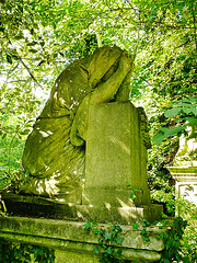 abney park cemetery, stoke newington, london,this may be the tomb of harriet delph , 1944,  buried in the undergrowth like so many here