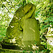 abney park cemetery, stoke newington, london,this may be the tomb of harriet delph , 1944,  buried in the undergrowth like so many here