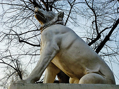 the hounds of victoria park, london