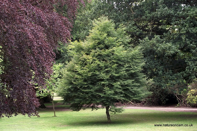 Yorkshire Sculpture Park