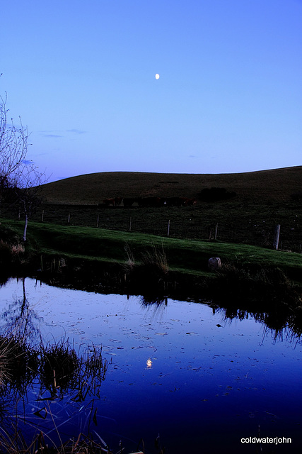Moon reflections 5182243048 o