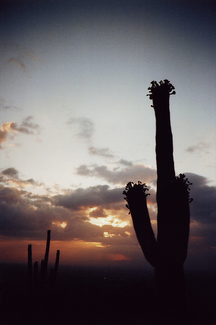 from the estrella mountains.