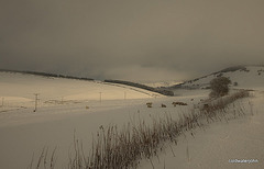 Scenes from the A96 - 31 12 2009