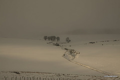 Scenes from the A96 - 31 12 2009