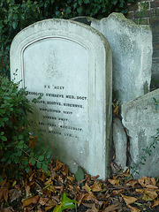 st.martin in the fields burial ground, camden