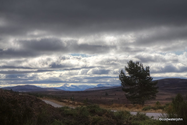 Dava Moor early morning looking towards the Grampians