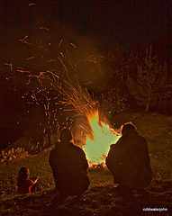 Toasting marshmallows - Bonfire Night by the pond