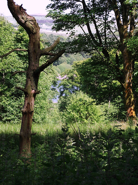 View of reservoir