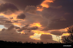 Winter sunsets - Five minutes' sequence with strong gale force winds!