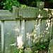 abney park cemetery, stoke newington, london,second world war memorial , civilian deaths; so many were caused in one street in one night due to a shelter being hit by a bomb