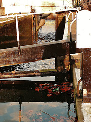 hertford union canal, bow, london