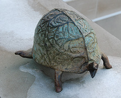 Ice Turtle