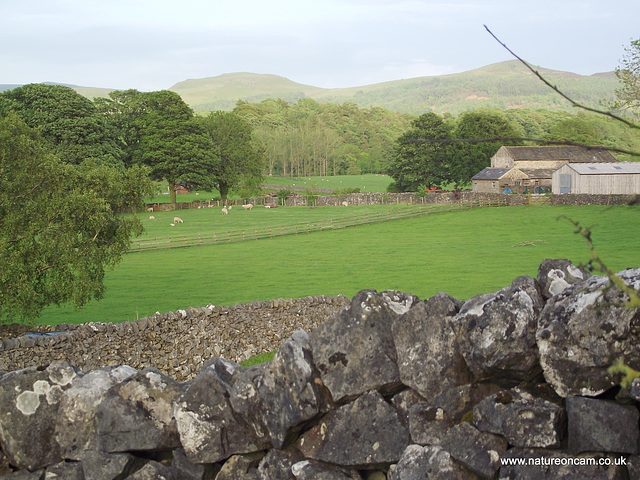 Towards Malham