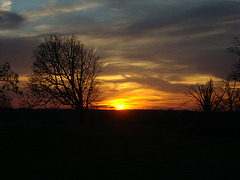 DSC00766
