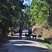 our doggies on the Rail Trail