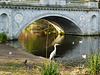 chiswick house