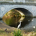 chiswick house