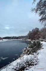 Bellie Winter series