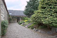 Courtyard garden colours in June