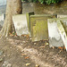 st.martin in the fields burial ground, camden